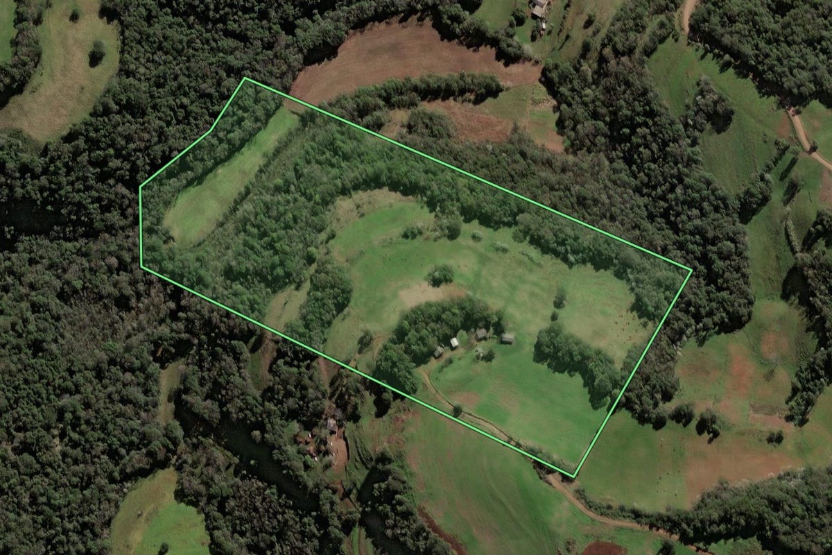 Imagem de satélite do imóvel rural em Jaboticaba (RS), com o contorno declarado no CAR desenhado por cima.