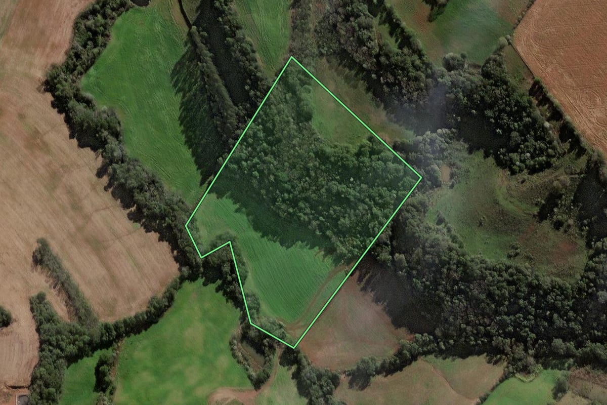 Imagem de satélite do imóvel rural em Jaboticaba (RS), com o contorno declarado no CAR desenhado por cima.