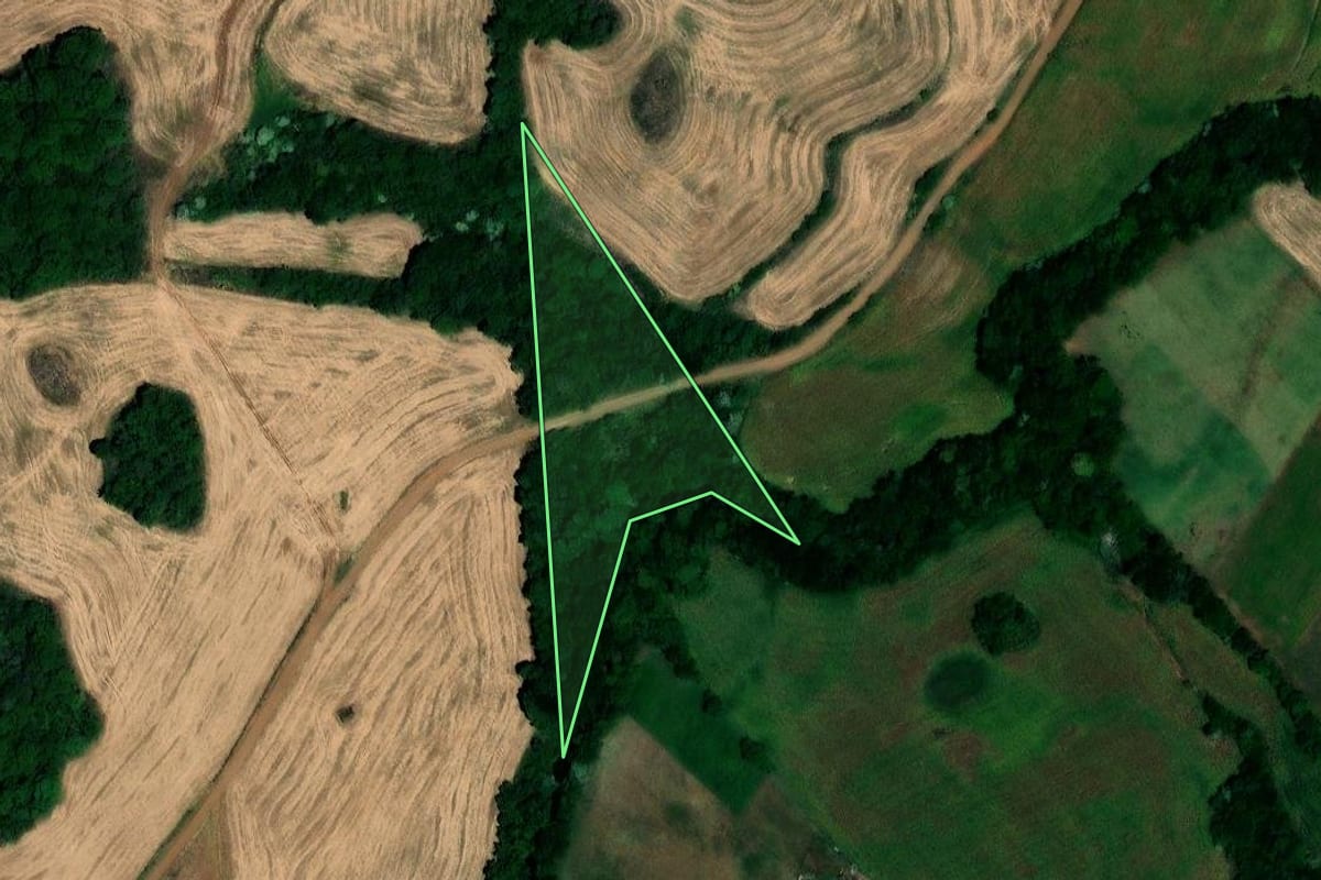 Imagem de satélite do imóvel rural em Jaboticaba (RS), com o contorno declarado no CAR desenhado por cima.