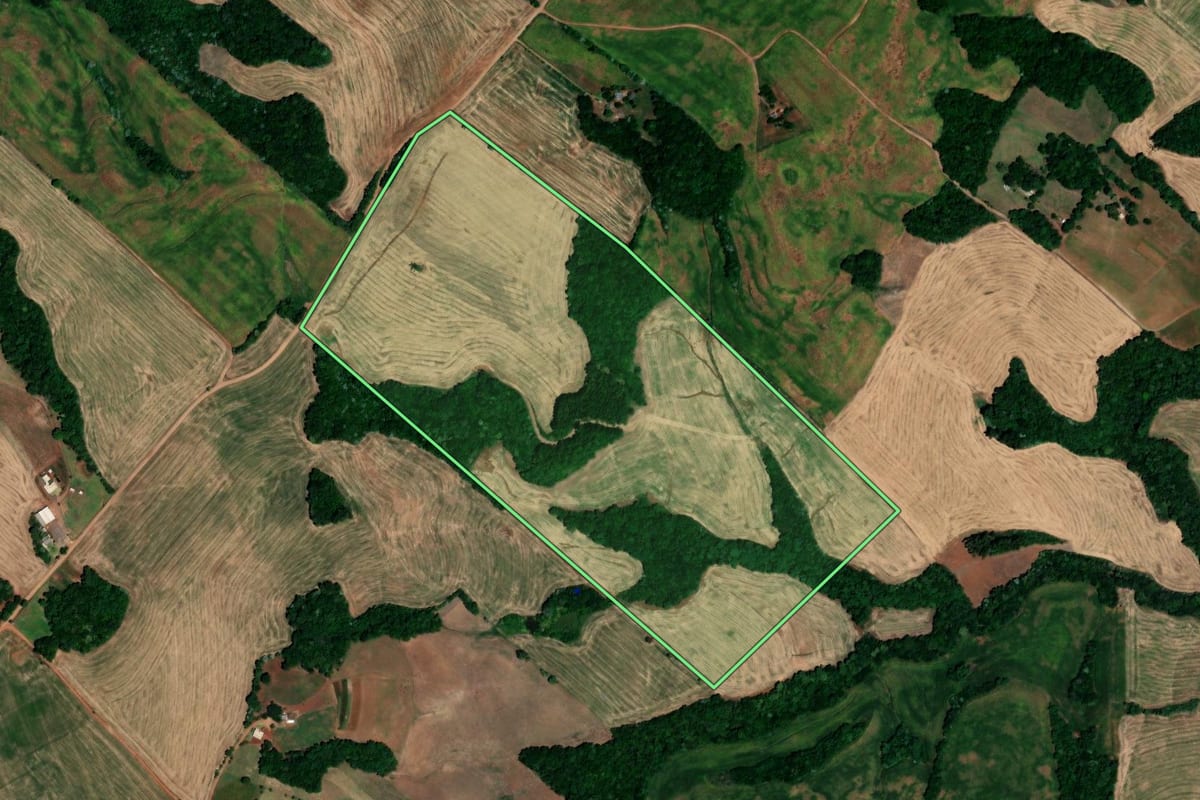 Imagem de satélite do imóvel rural em Jaboticaba (RS), com o contorno declarado no CAR desenhado por cima.