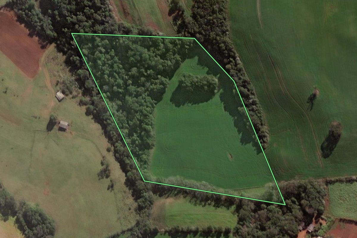 Imagem de satélite do imóvel rural em Jaboticaba (RS), com o contorno declarado no CAR desenhado por cima.