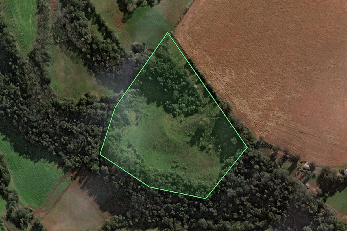 Imagem de satélite do imóvel rural em Jaboticaba (RS), com o contorno declarado no CAR desenhado por cima.