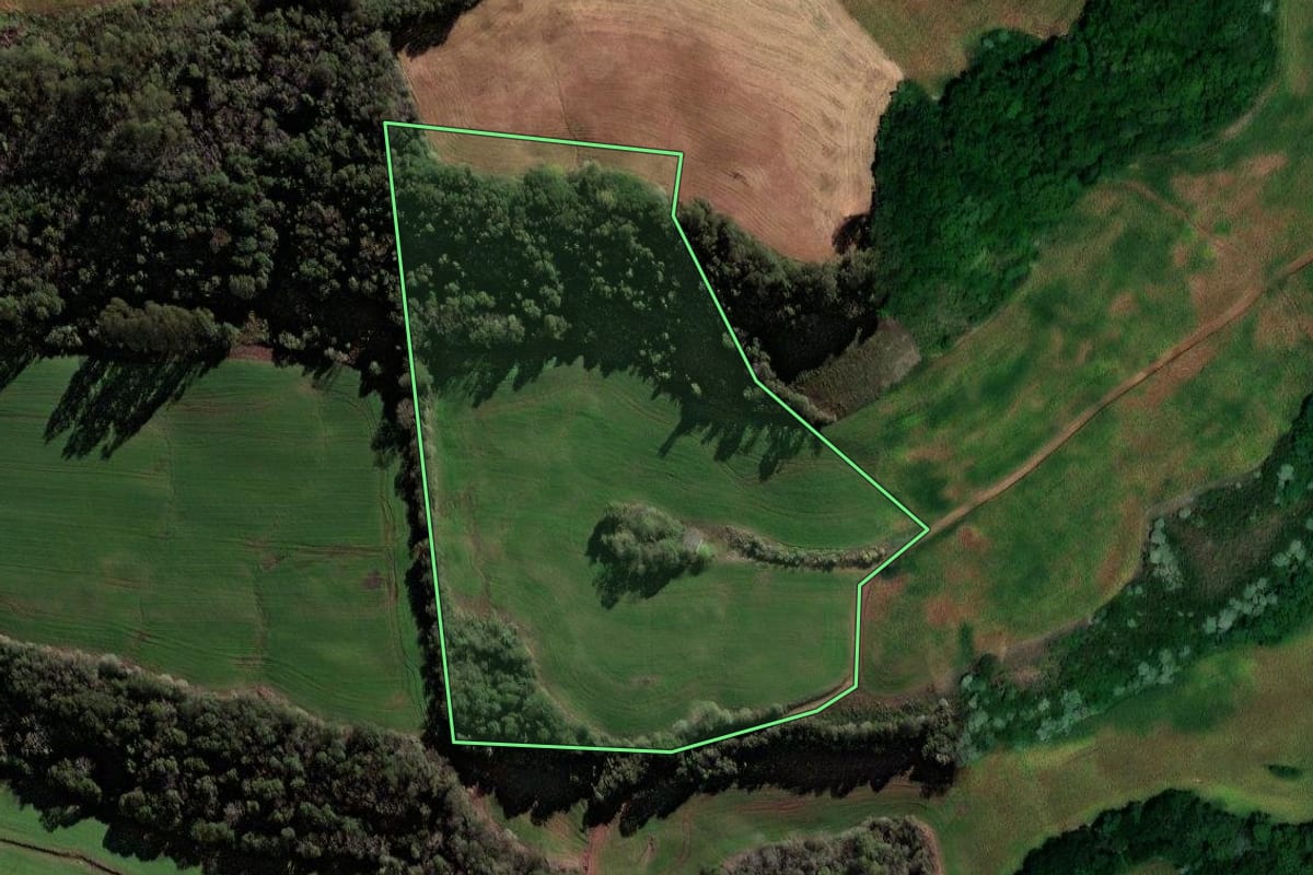 Imagem de satélite do imóvel rural em Jaboticaba (RS), com o contorno declarado no CAR desenhado por cima.
