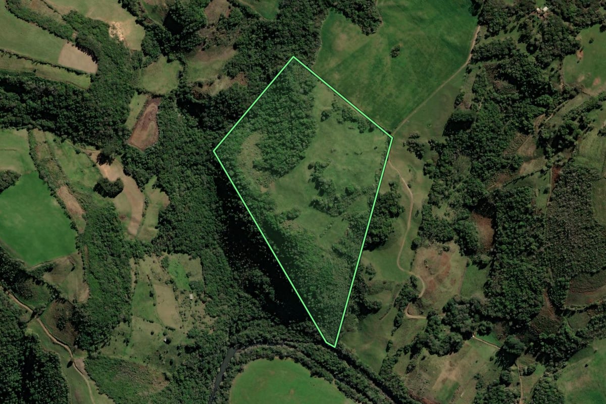Imagem de satélite do imóvel rural em Jacuizinho (RS), com o contorno declarado no CAR desenhado por cima.