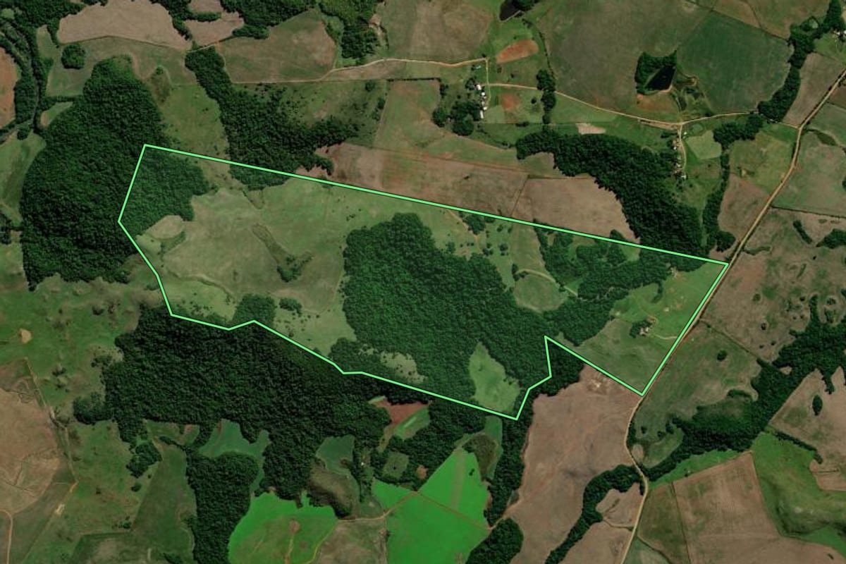 Imagem de satélite do imóvel rural em Jacuizinho (RS), com o contorno declarado no CAR desenhado por cima.