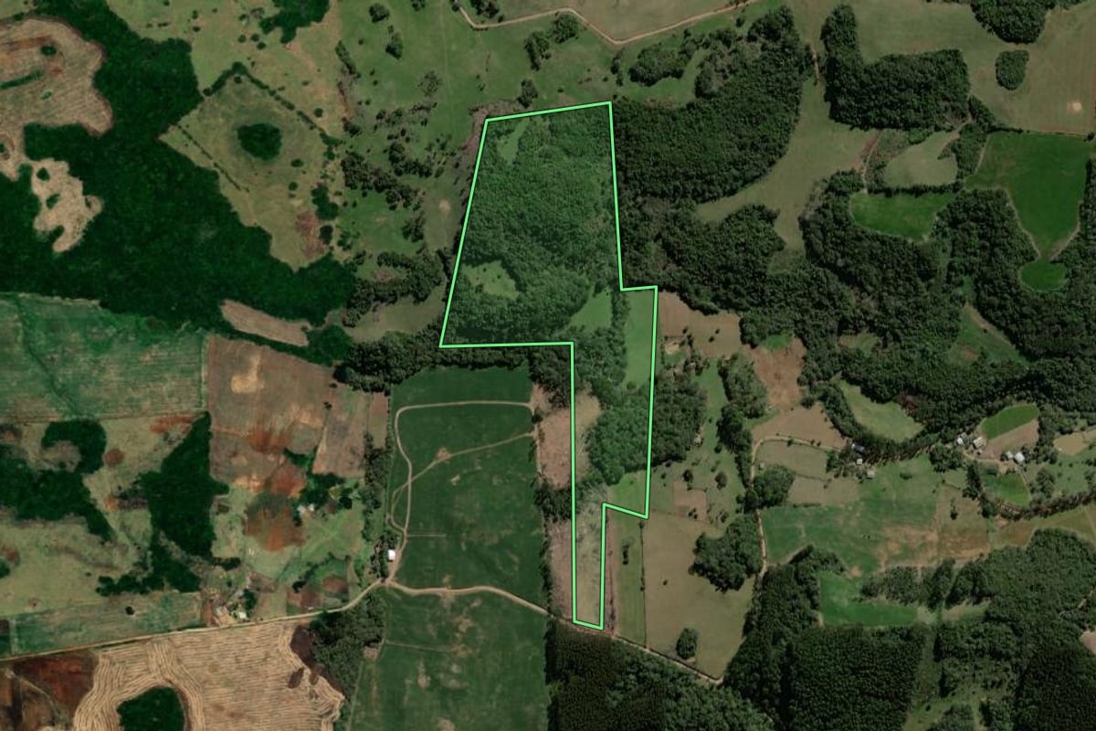 Imagem de satélite do imóvel rural em Jacuizinho (RS), com o contorno declarado no CAR desenhado por cima.