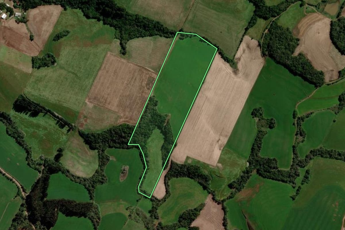 Imagem de satélite do imóvel rural em Jacutinga (RS), com o contorno declarado no CAR desenhado por cima.
