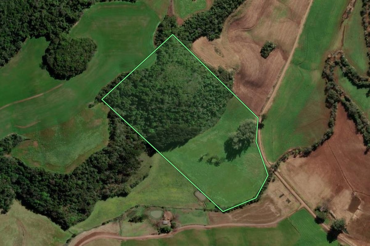 Imagem de satélite do imóvel rural em Jacutinga (RS), com o contorno declarado no CAR desenhado por cima.