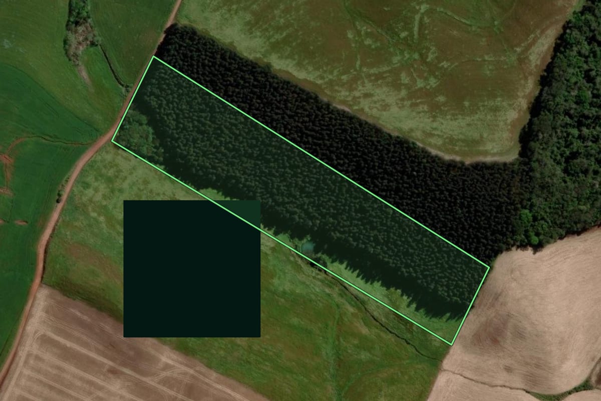 Imagem de satélite do imóvel rural em Jacutinga (RS), com o contorno declarado no CAR desenhado por cima.