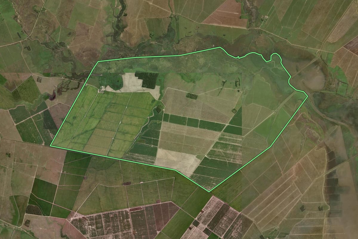 Imagem de satélite do imóvel rural em Jaguarão (RS), com o contorno declarado no CAR desenhado por cima.