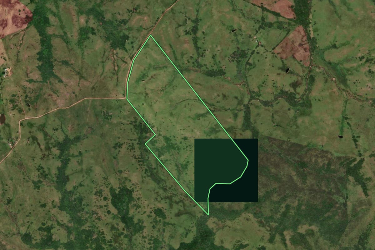 Imagem de satélite do imóvel rural em Jaguarão (RS), com o contorno declarado no CAR desenhado por cima.