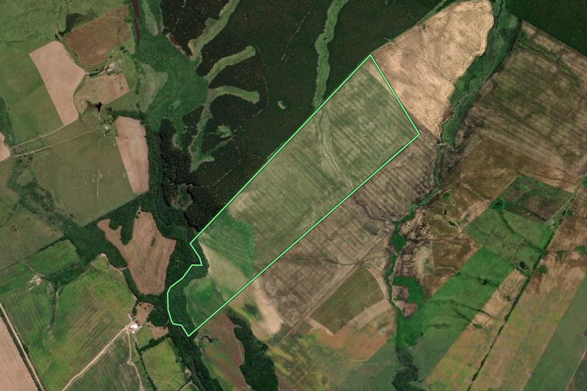 Imagem de satélite do imóvel rural em Jaguarão (RS), com o contorno declarado no CAR desenhado por cima.
