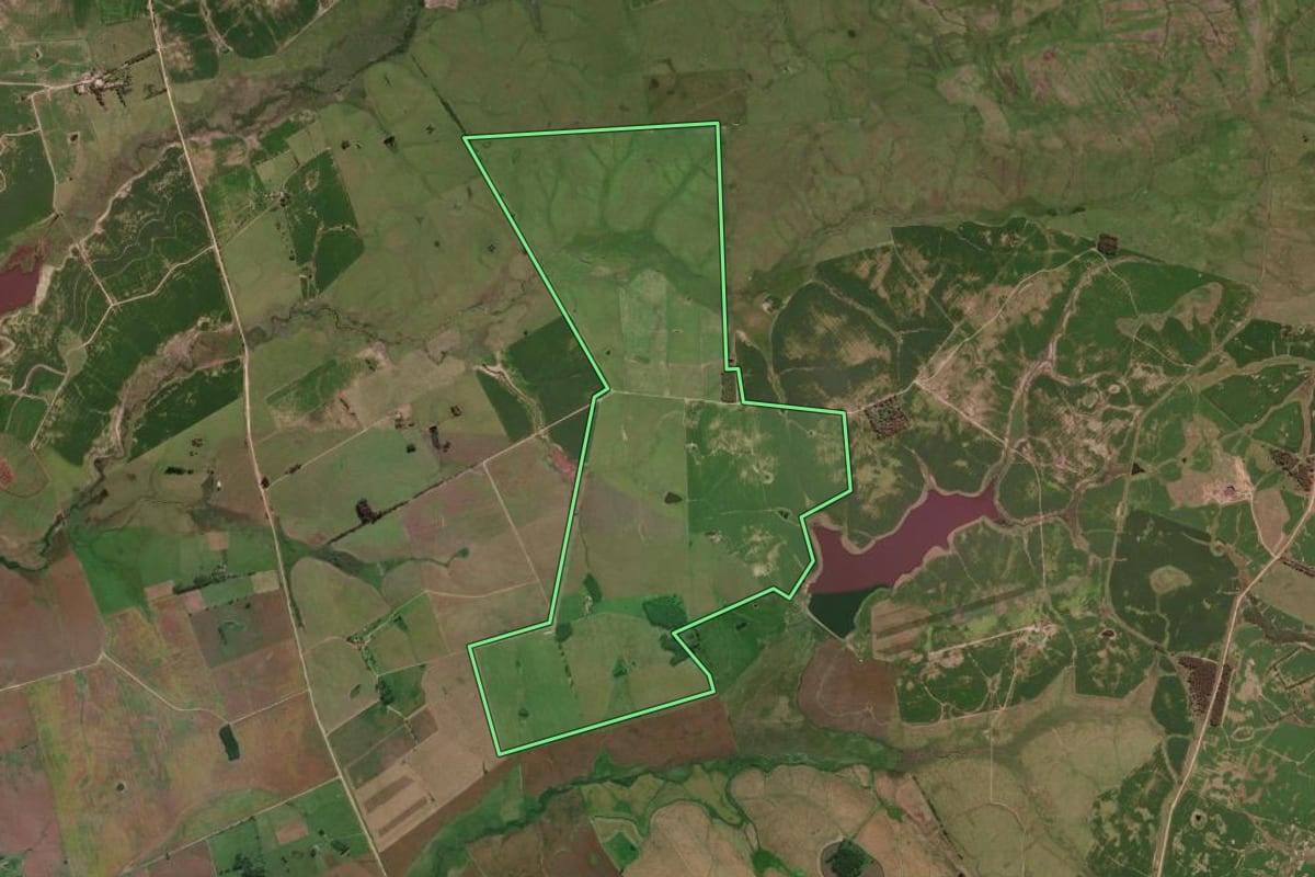 Imagem de satélite do imóvel rural em Jaguarão (RS), com o contorno declarado no CAR desenhado por cima.