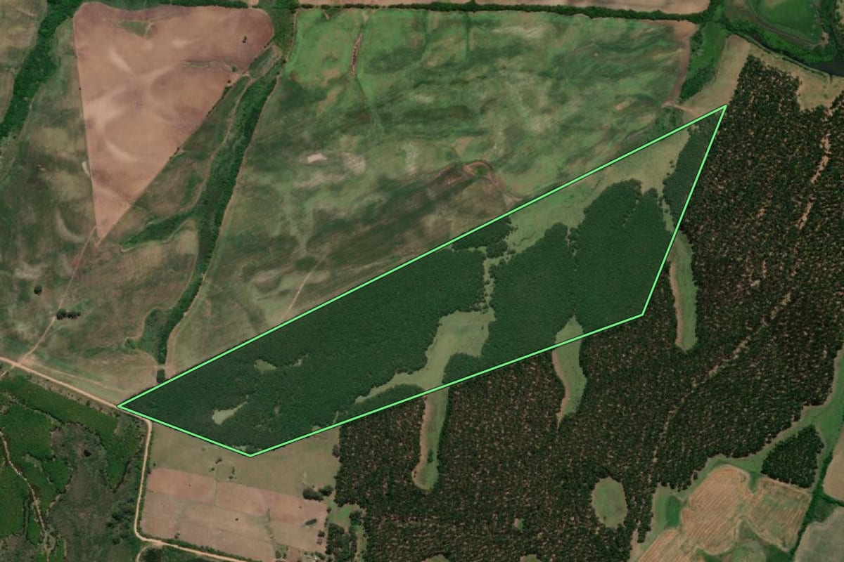 Imagem de satélite do imóvel rural em Jaguarão (RS), com o contorno declarado no CAR desenhado por cima.
