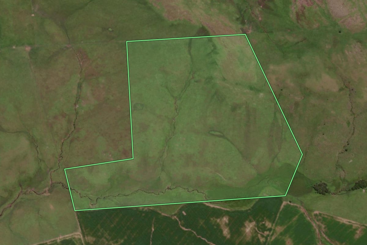 Imagem de satélite do imóvel rural em Jaguarão (RS), com o contorno declarado no CAR desenhado por cima.