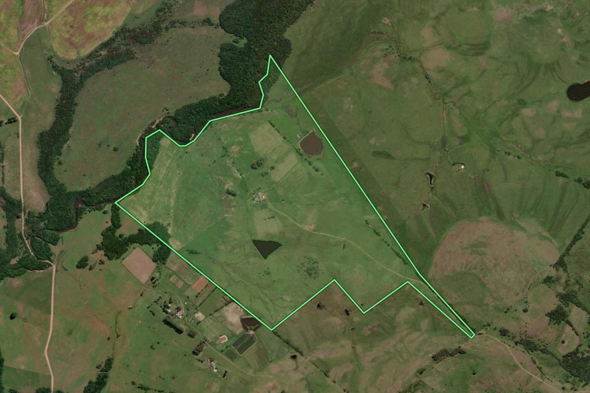 Imagem de satélite do imóvel rural em Jaguarão (RS), com o contorno declarado no CAR desenhado por cima.