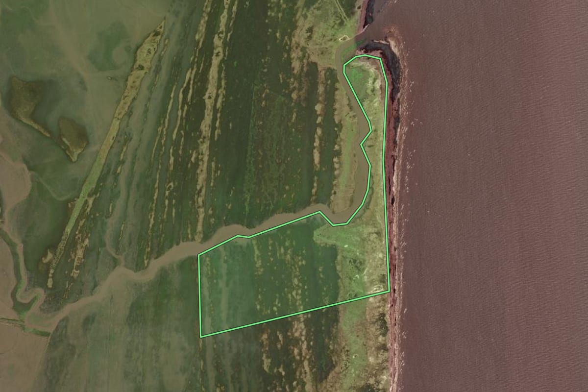 Imagem de satélite do imóvel rural em Jaguarão (RS), com o contorno declarado no CAR desenhado por cima.