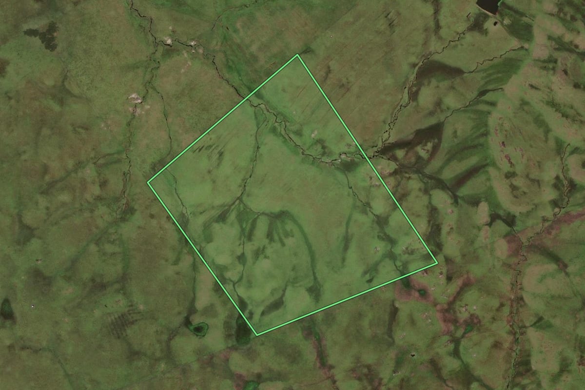 Imagem de satélite do imóvel rural em Jaguarão (RS), com o contorno declarado no CAR desenhado por cima.