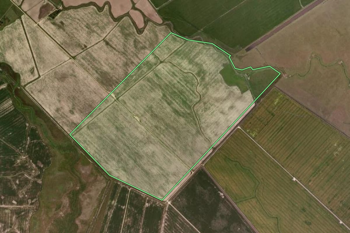 Imagem de satélite do imóvel rural em Jaguarão (RS), com o contorno declarado no CAR desenhado por cima.
