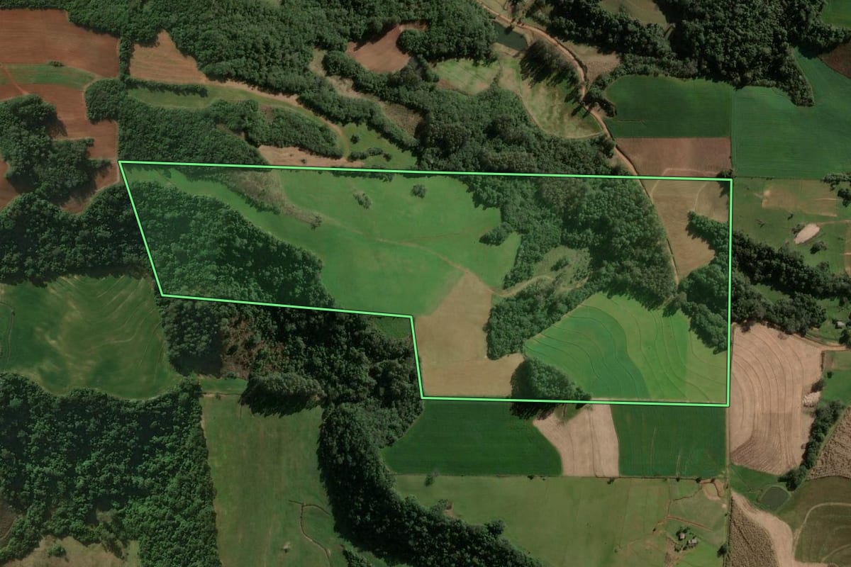 Imagem de satélite do imóvel rural em Jaguari (RS), com o contorno declarado no CAR desenhado por cima.
