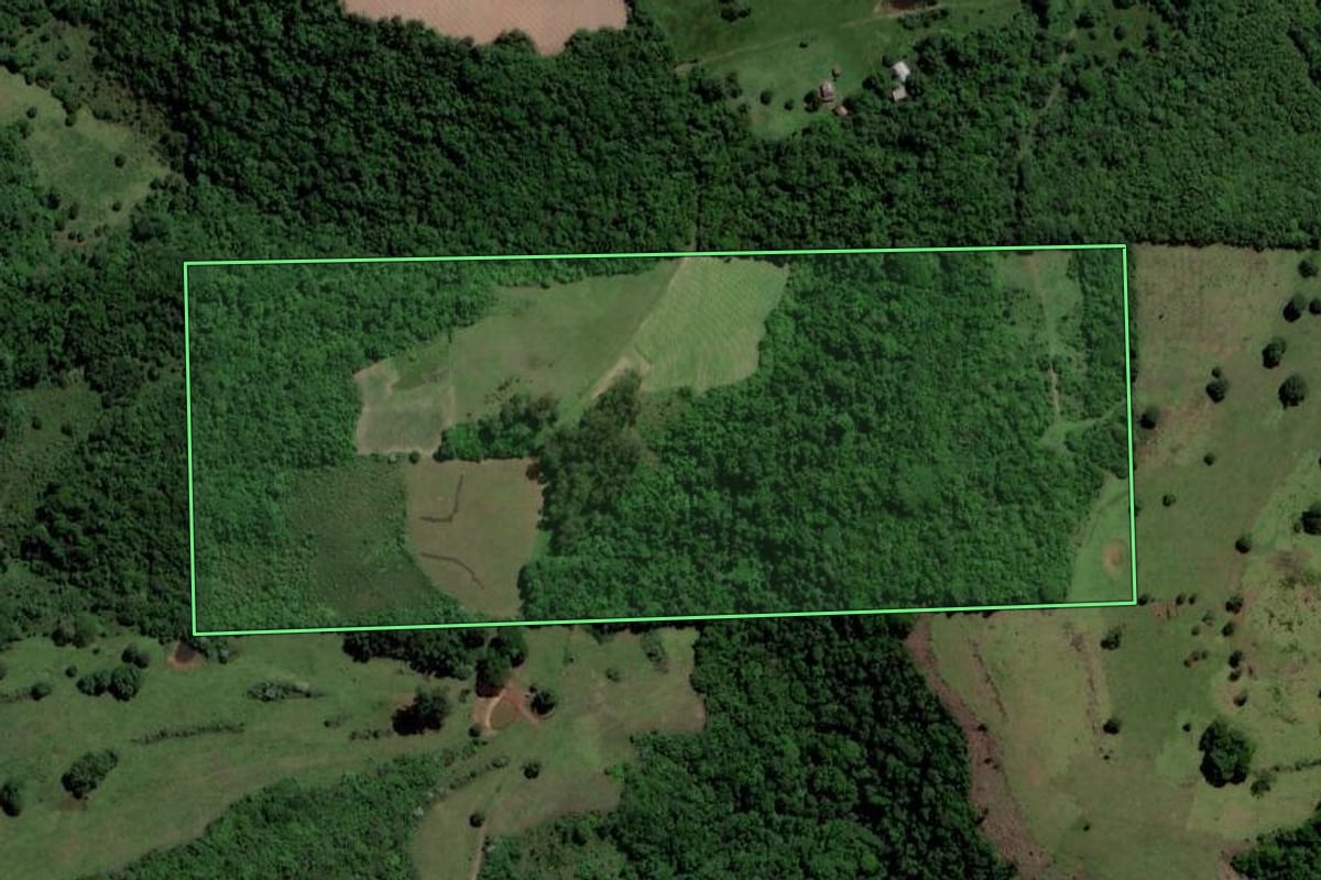 Imagem de satélite do imóvel rural em Jaguari (RS), com o contorno declarado no CAR desenhado por cima.