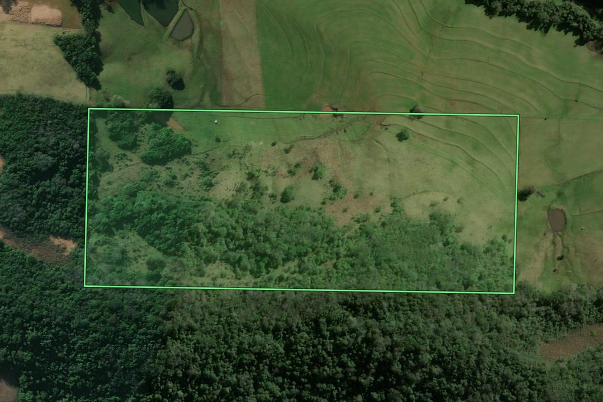 Imagem de satélite do imóvel rural em Jaguari (RS), com o contorno declarado no CAR desenhado por cima.