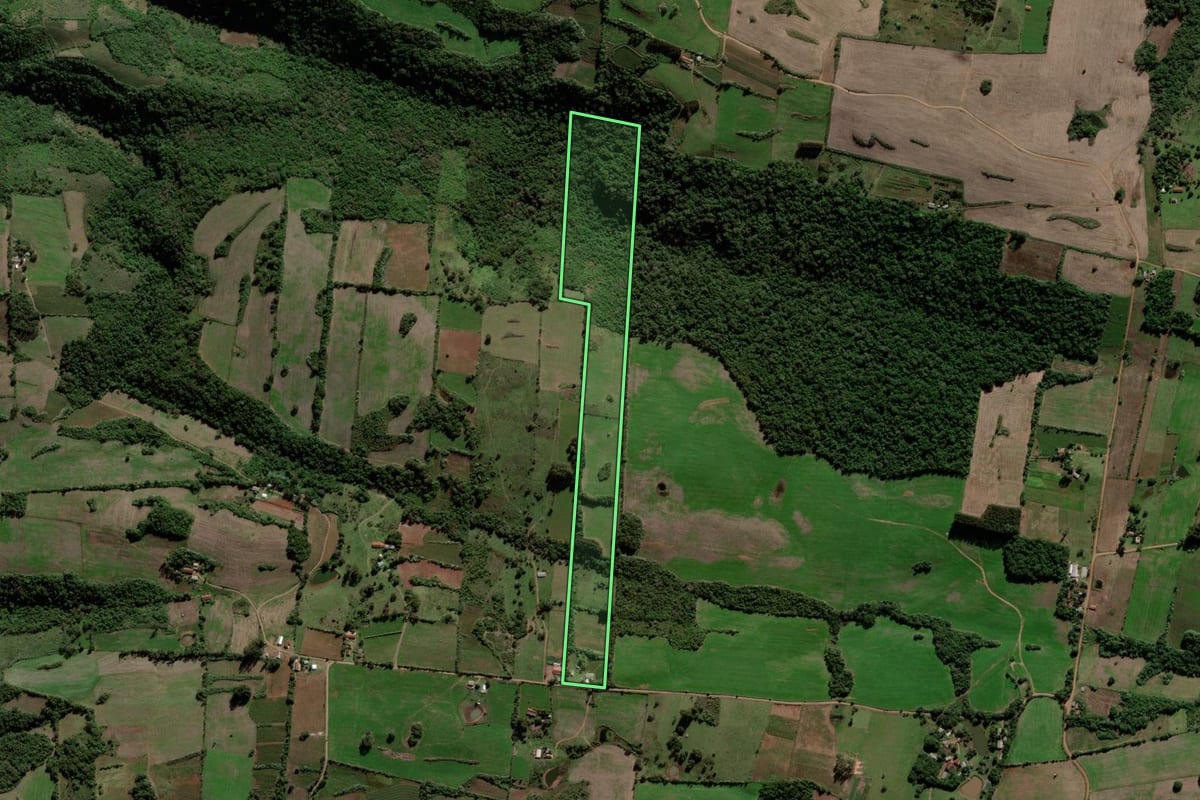 Imagem de satélite do imóvel rural em Jaguari (RS), com o contorno declarado no CAR desenhado por cima.
