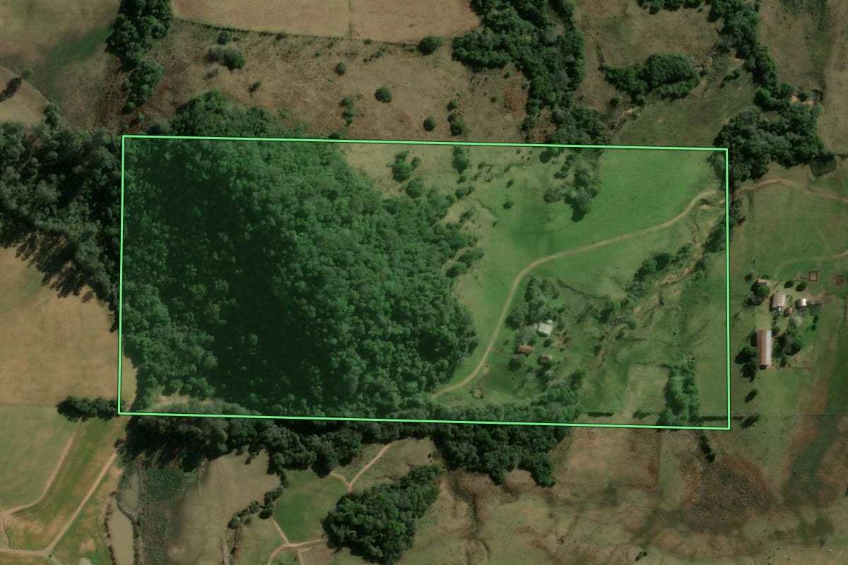 Imagem de satélite do imóvel rural em Jaguari (RS), com o contorno declarado no CAR desenhado por cima.