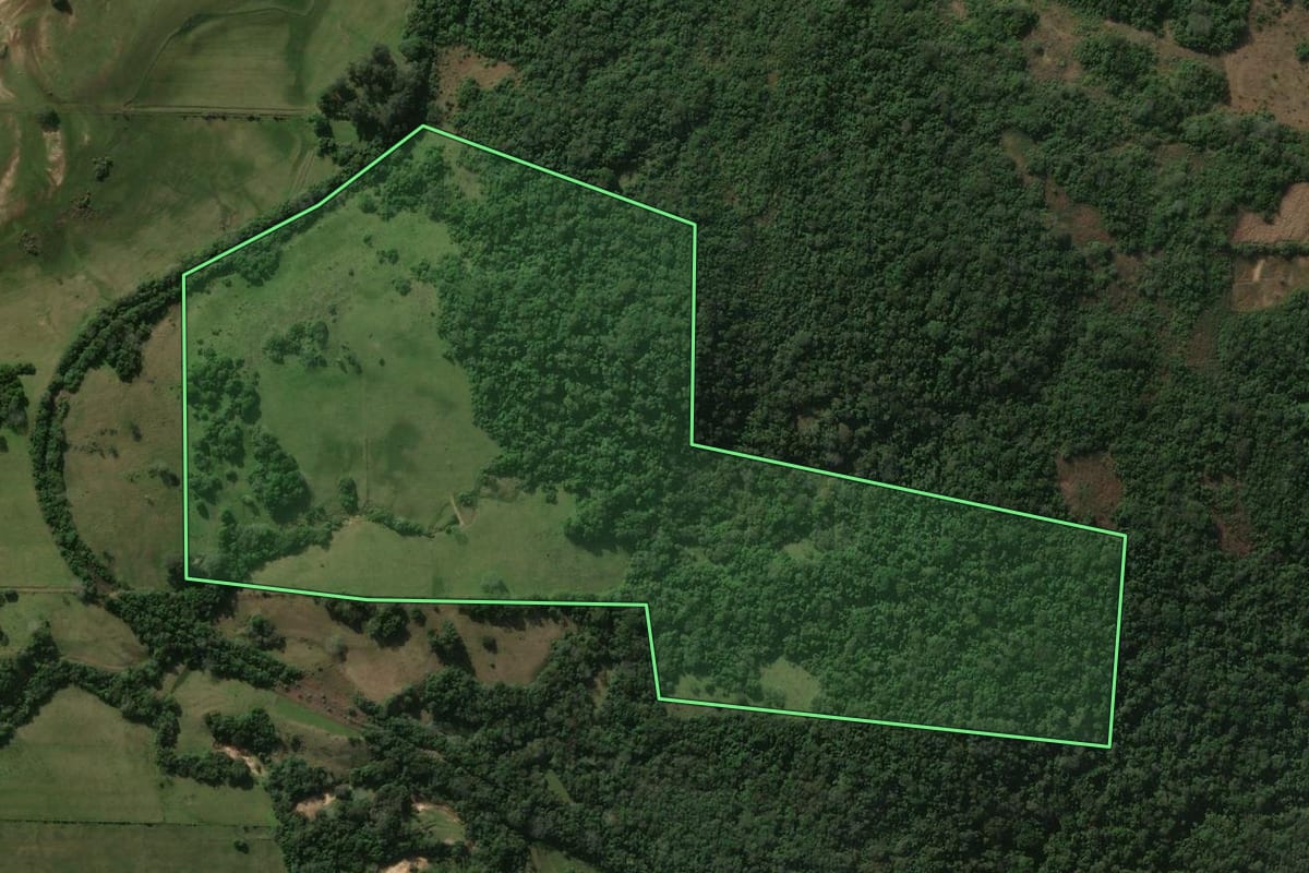 Imagem de satélite do imóvel rural em Jaguari (RS), com o contorno declarado no CAR desenhado por cima.