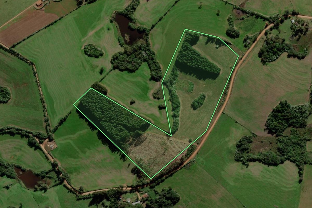 Imagem de satélite do imóvel rural em Jaguari (RS), com o contorno declarado no CAR desenhado por cima.