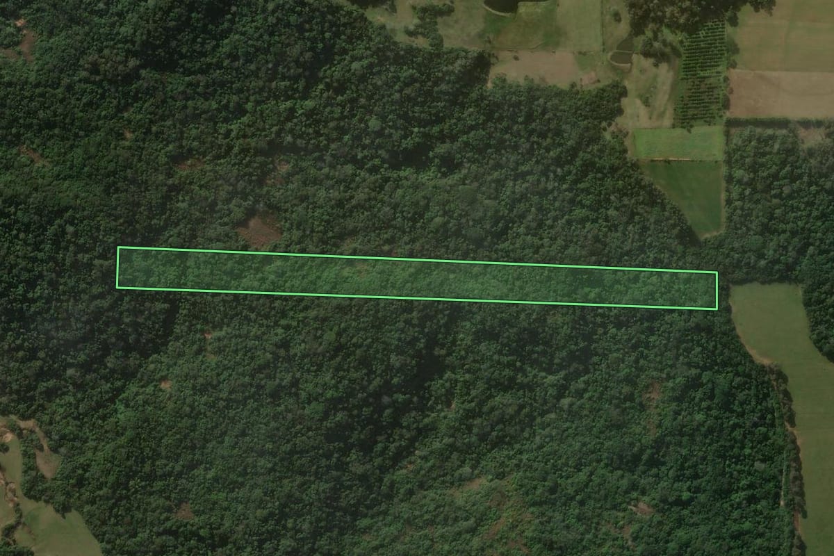 Imagem de satélite do imóvel rural em Jaguari (RS), com o contorno declarado no CAR desenhado por cima.