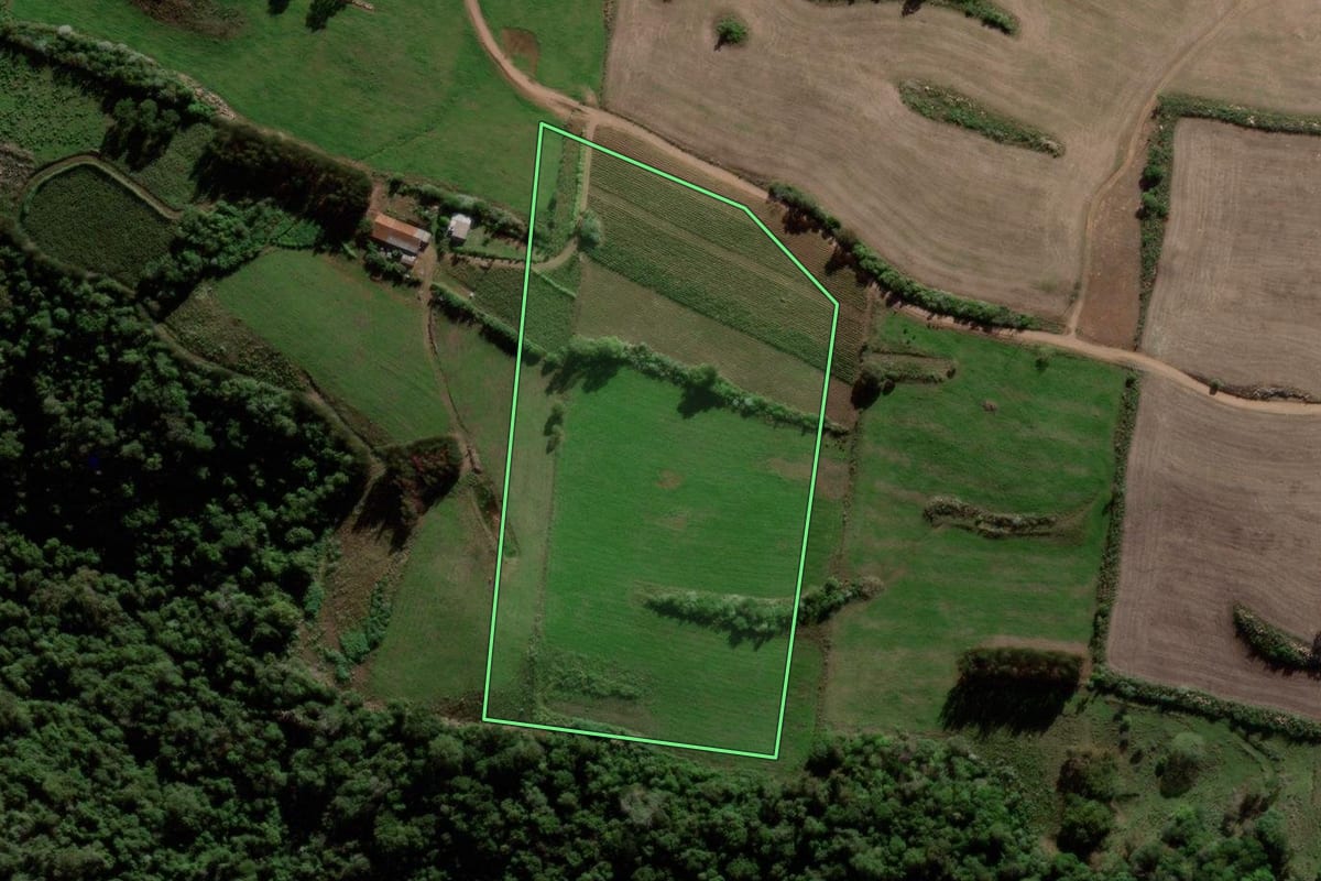 Imagem de satélite do imóvel rural em Jaguari (RS), com o contorno declarado no CAR desenhado por cima.