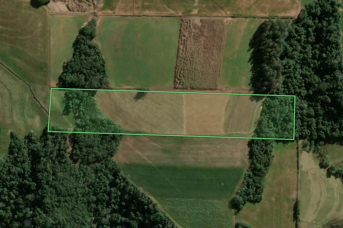 Imagem de satélite do imóvel rural em Jaguari (RS), com o contorno declarado no CAR desenhado por cima.