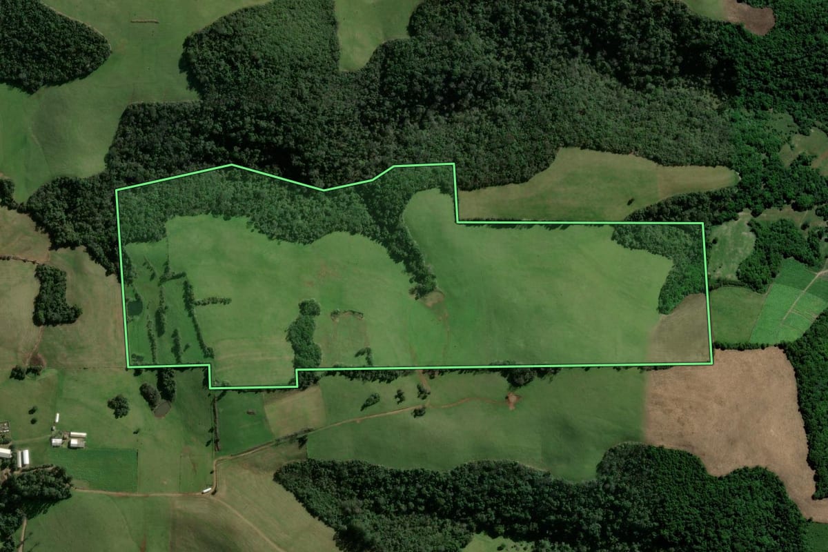 Imagem de satélite do imóvel rural em Jaguari (RS), com o contorno declarado no CAR desenhado por cima.