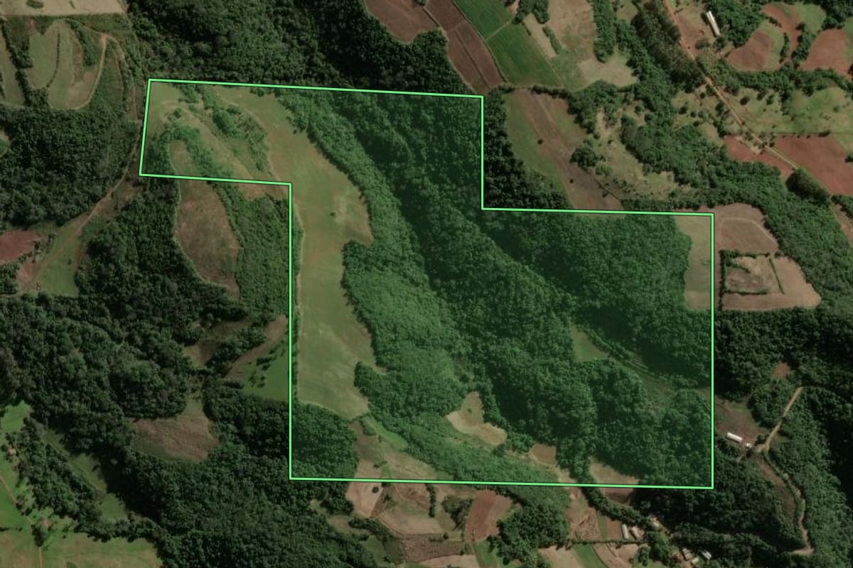 Imagem de satélite do imóvel rural em Jaguari (RS), com o contorno declarado no CAR desenhado por cima.