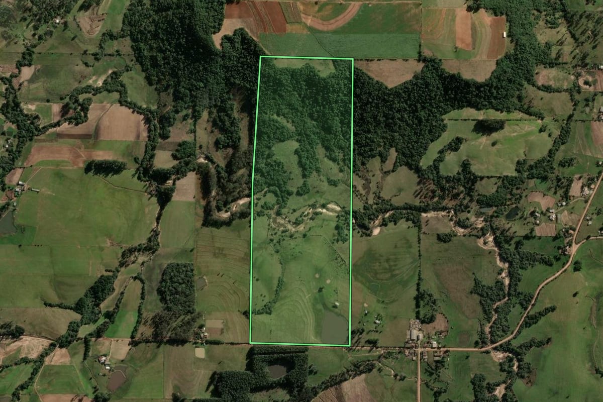 Imagem de satélite do imóvel rural em Jaguari (RS), com o contorno declarado no CAR desenhado por cima.
