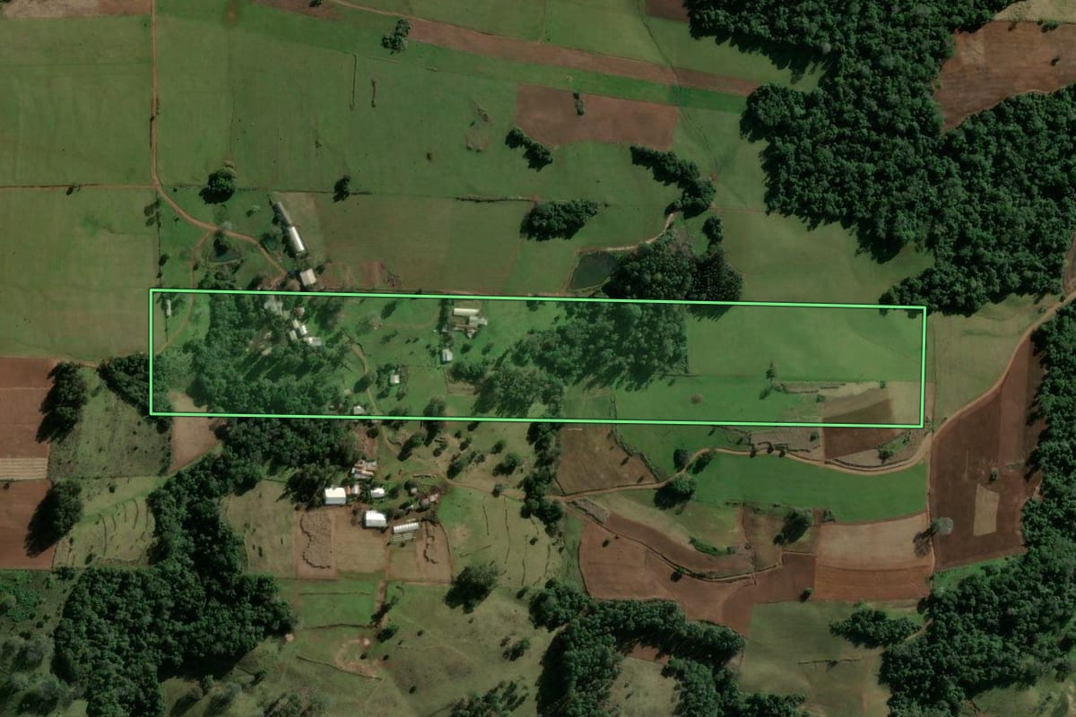 Imagem de satélite do imóvel rural em Jaguari (RS), com o contorno declarado no CAR desenhado por cima.