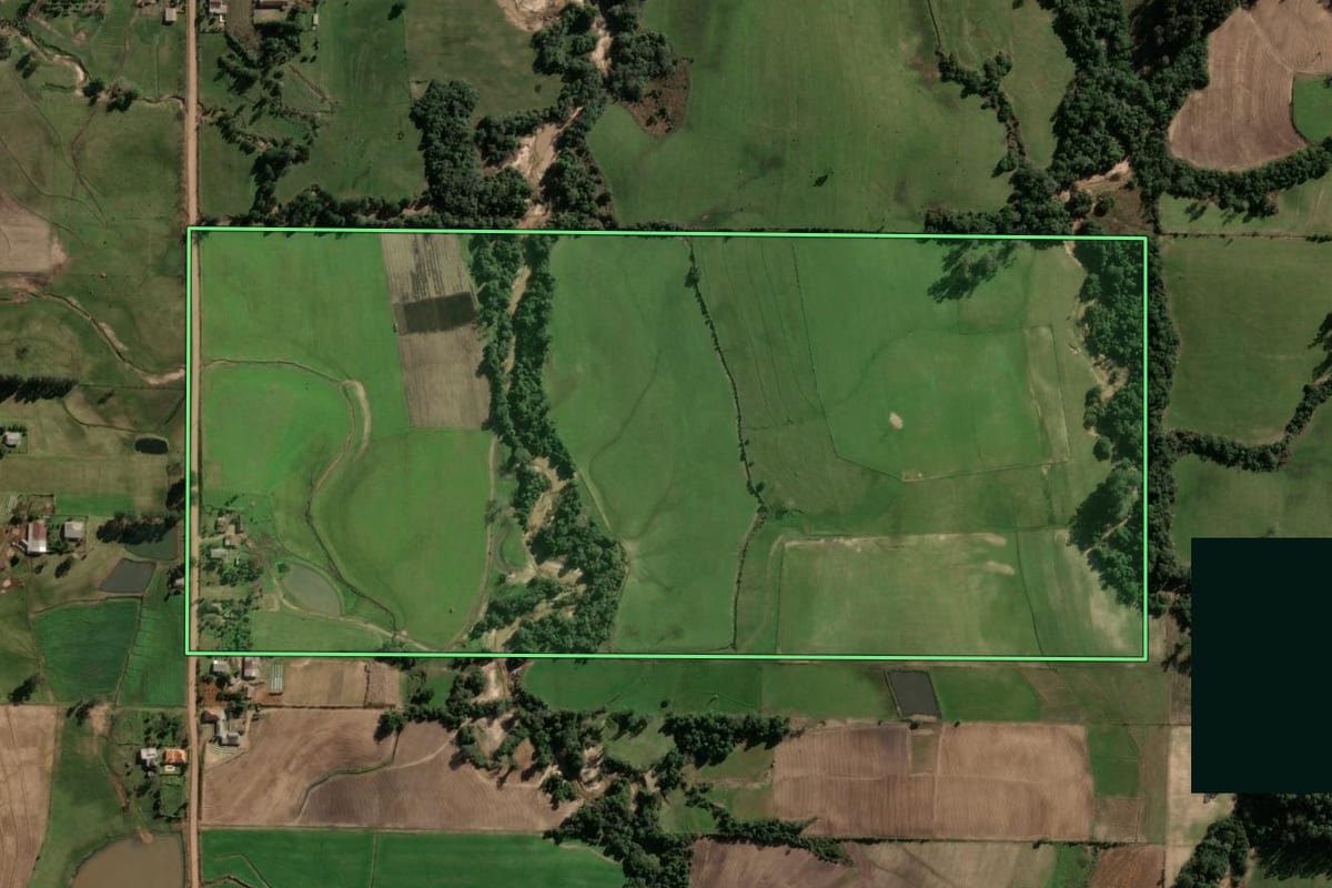 Imagem de satélite do imóvel rural em Jaguari (RS), com o contorno declarado no CAR desenhado por cima.