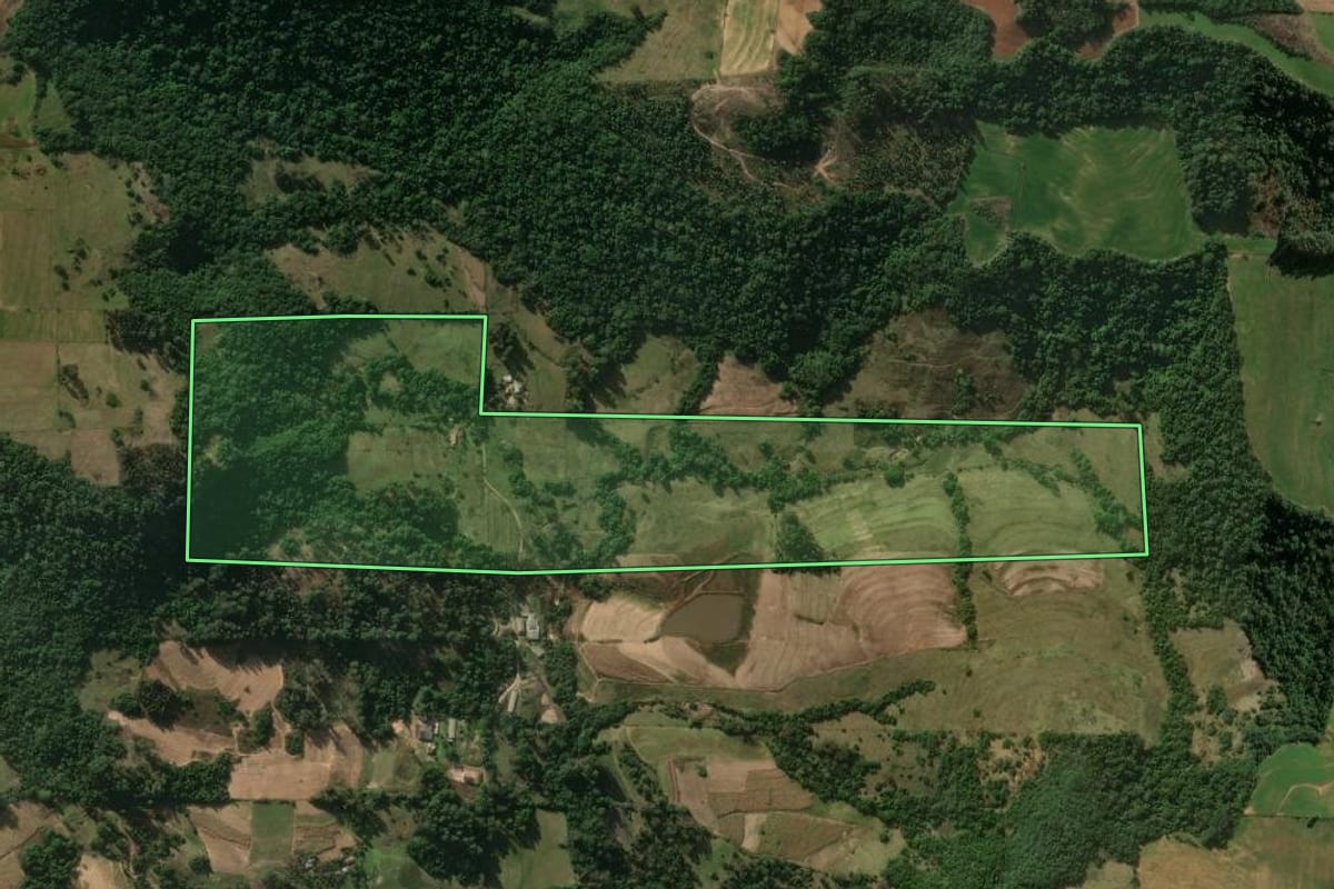 Imagem de satélite do imóvel rural em Jaguari (RS), com o contorno declarado no CAR desenhado por cima.