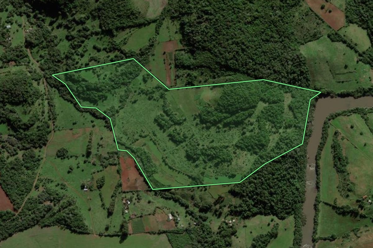 Imagem de satélite do imóvel rural em Jaguari (RS), com o contorno declarado no CAR desenhado por cima.