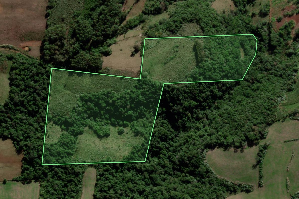 Imagem de satélite do imóvel rural em Jaguari (RS), com o contorno declarado no CAR desenhado por cima.