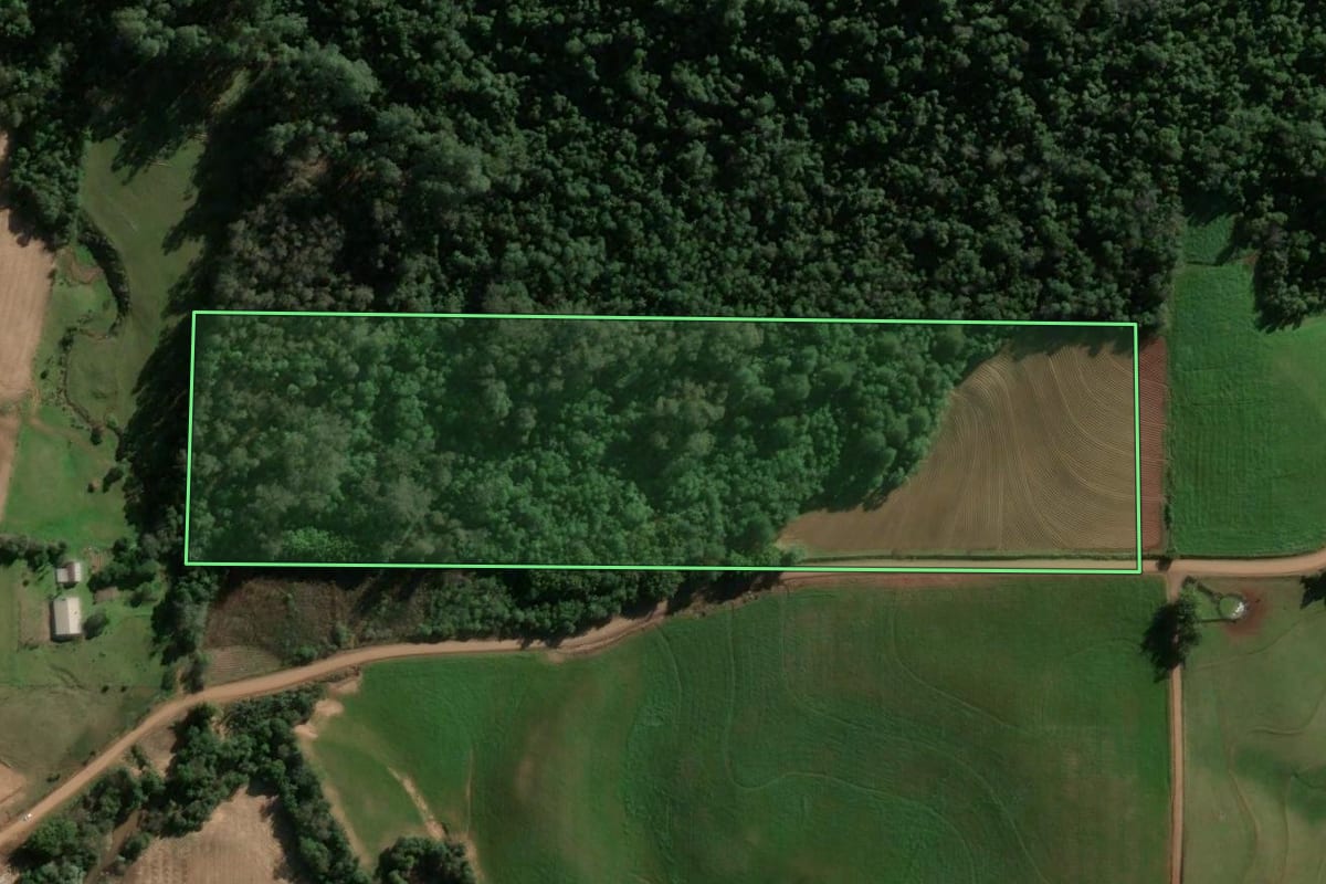 Imagem de satélite do imóvel rural em Jaguari (RS), com o contorno declarado no CAR desenhado por cima.