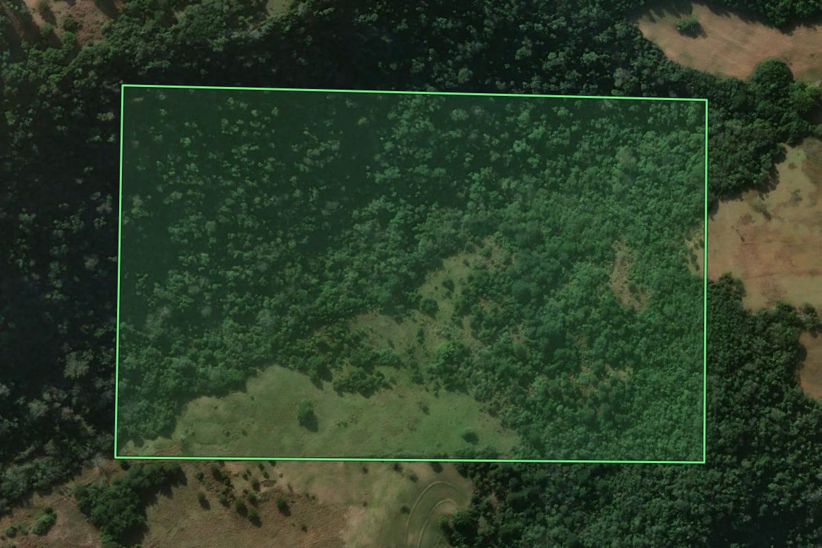 Imagem de satélite do imóvel rural em Jaguari (RS), com o contorno declarado no CAR desenhado por cima.