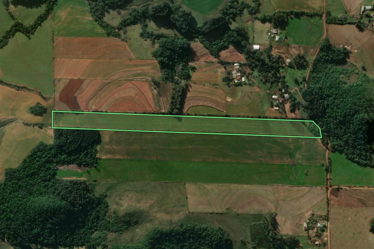 Imagem de satélite do imóvel rural em Jaguari (RS), com o contorno declarado no CAR desenhado por cima.
