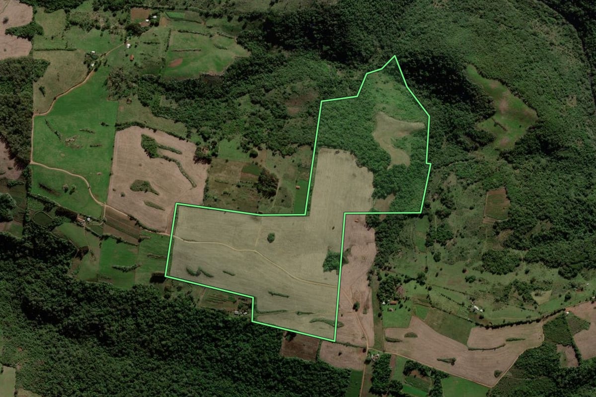 Imagem de satélite do imóvel rural em Jaguari (RS), com o contorno declarado no CAR desenhado por cima.