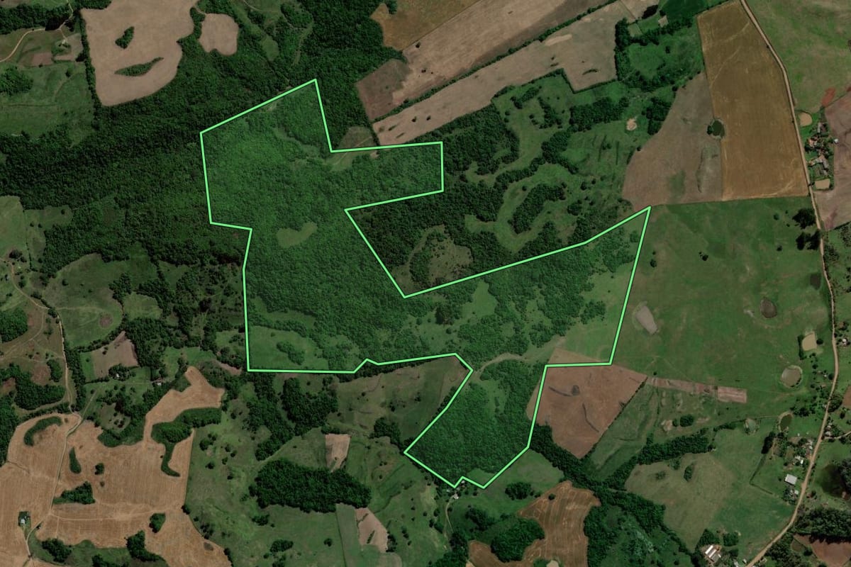 Imagem de satélite do imóvel rural em Jaguari (RS), com o contorno declarado no CAR desenhado por cima.