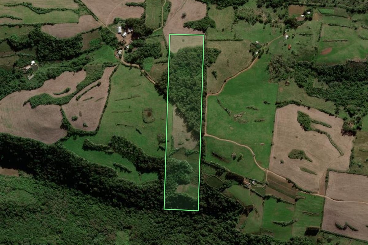 Imagem de satélite do imóvel rural em Jaguari (RS), com o contorno declarado no CAR desenhado por cima.