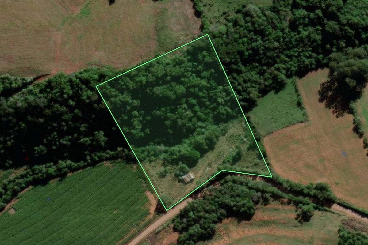 Imagem de satélite do imóvel rural em Jaguari (RS), com o contorno declarado no CAR desenhado por cima.
