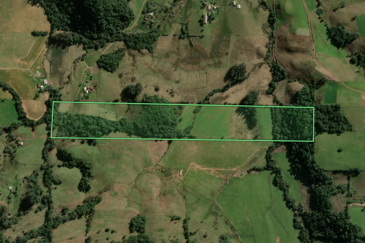 Imagem de satélite do imóvel rural em Jaguari (RS), com o contorno declarado no CAR desenhado por cima.