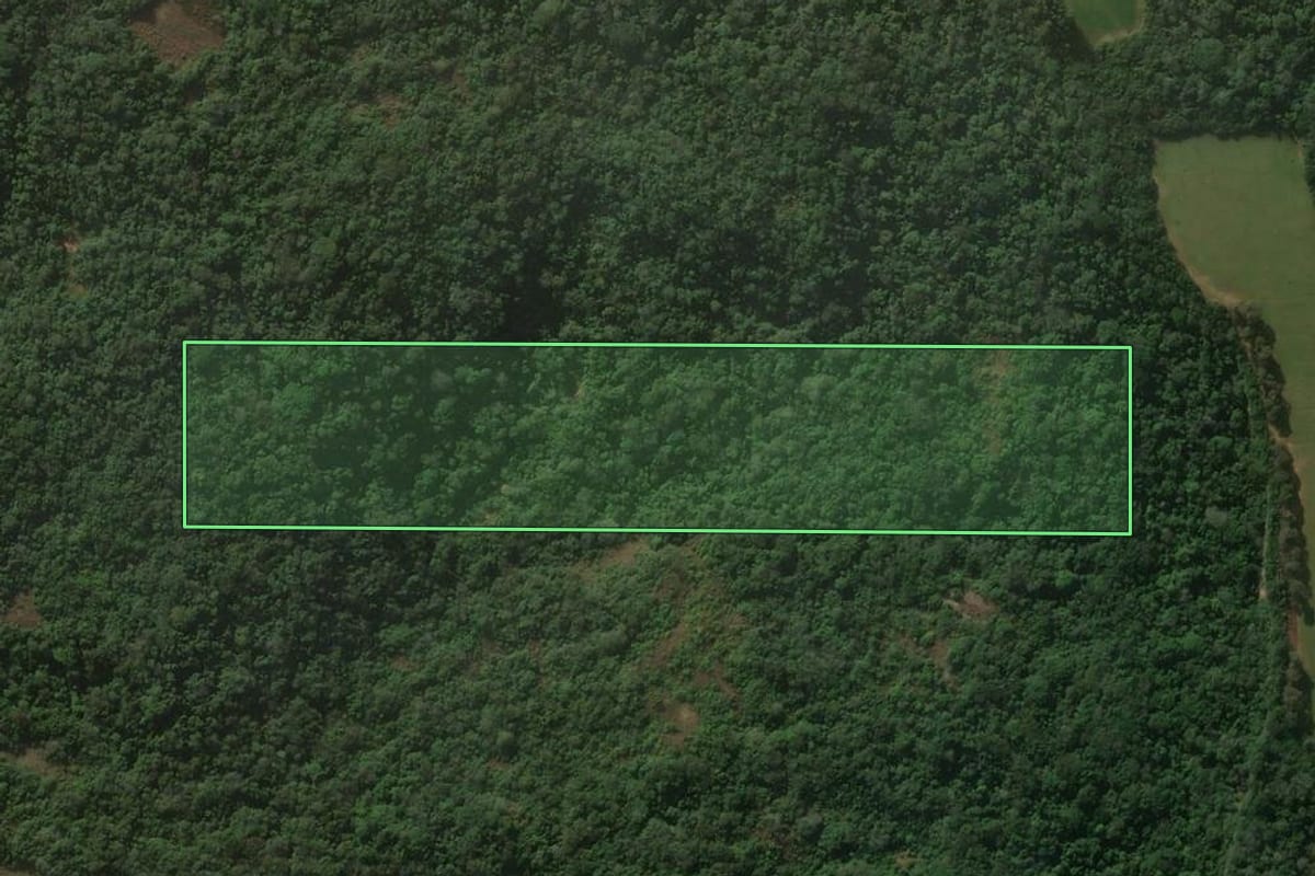 Imagem de satélite do imóvel rural em Jaguari (RS), com o contorno declarado no CAR desenhado por cima.